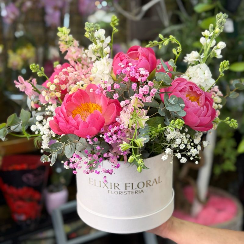 Box de flores variadas 2